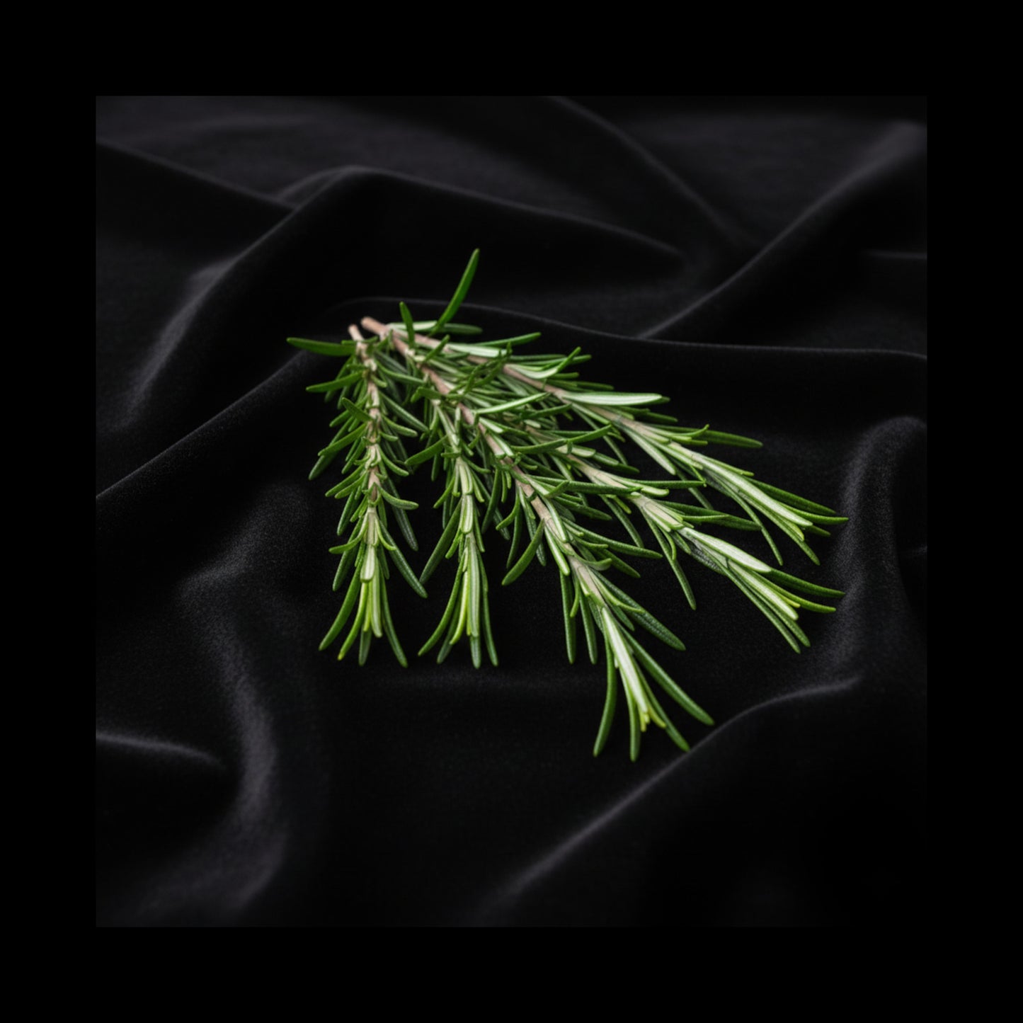 Rosemary Smudge Bundle